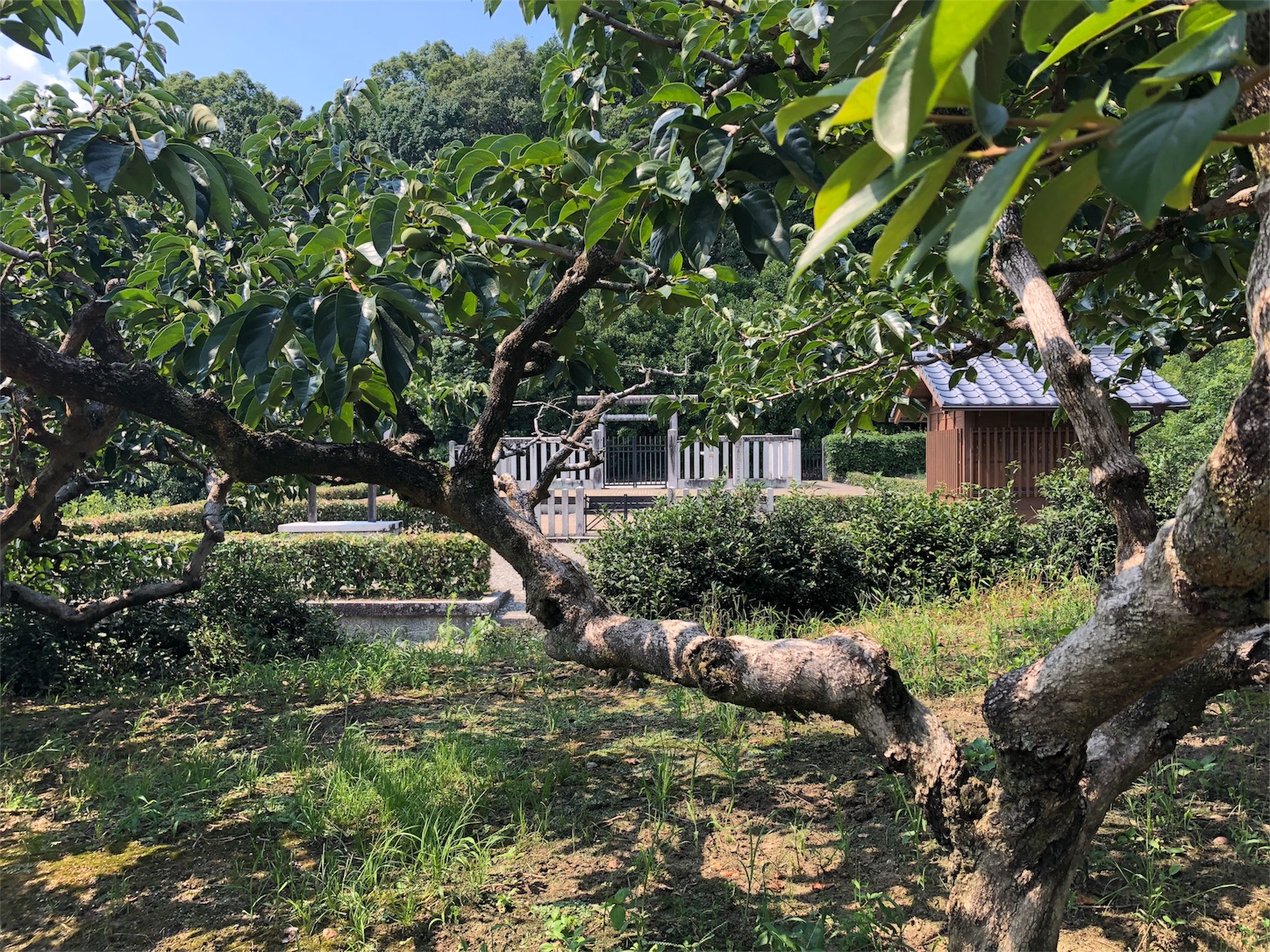f:id:jeanrenon:20180717202438j:image