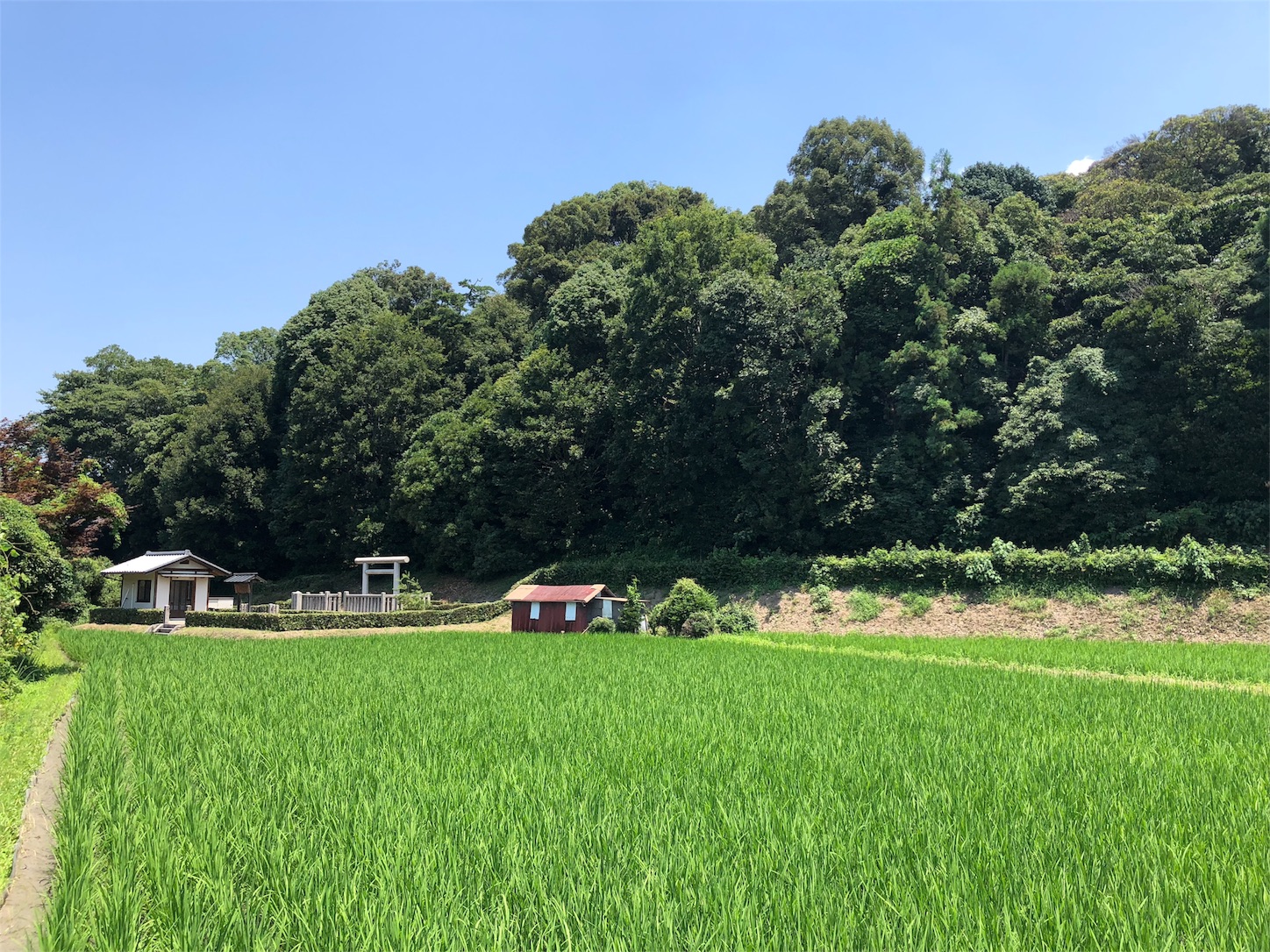 f:id:jeanrenon:20180717202444j:image