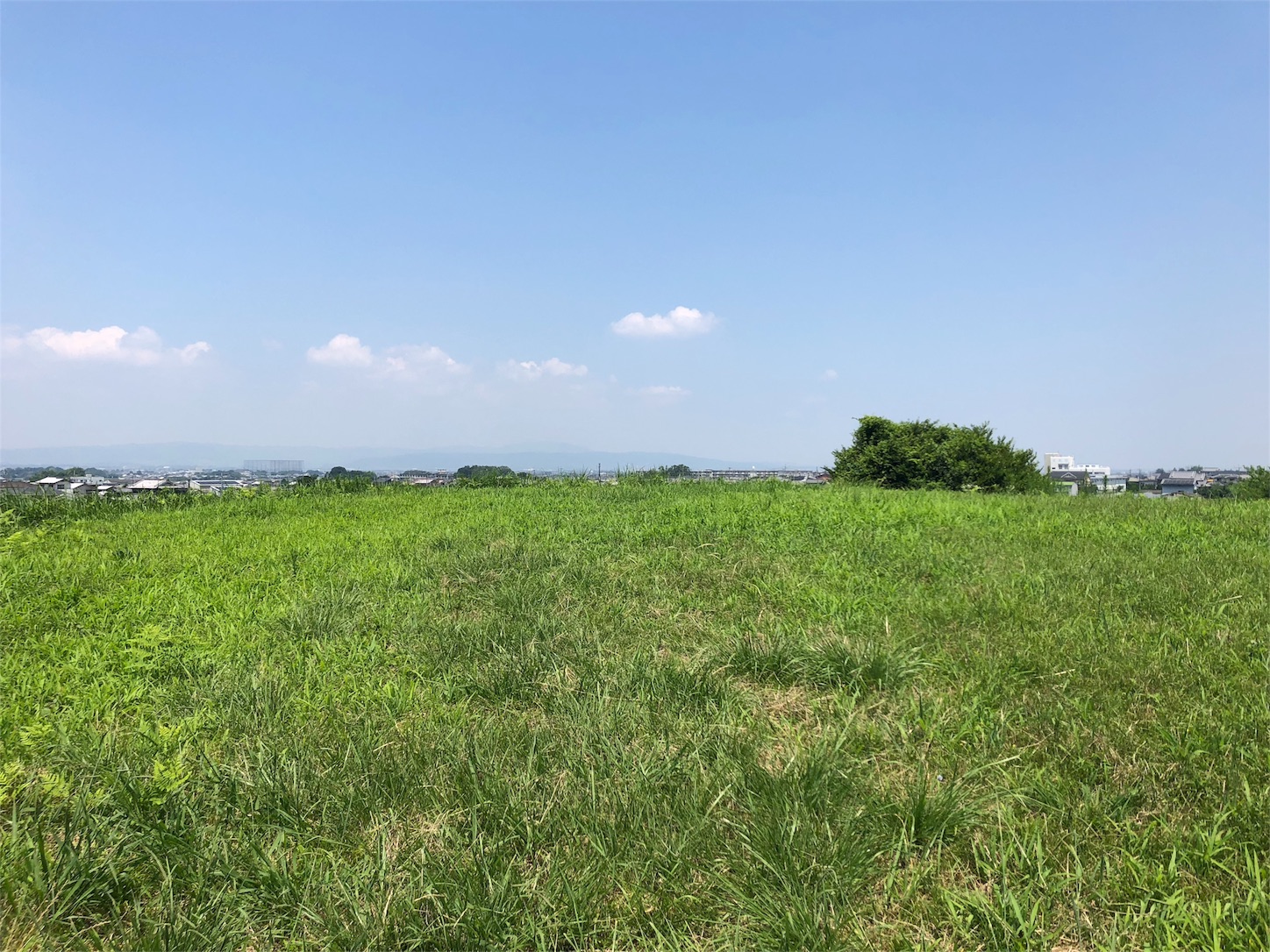 f:id:jeanrenon:20180717202541j:image