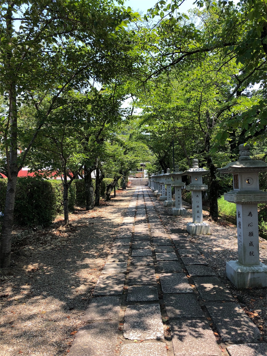 f:id:jeanrenon:20180719124452j:image