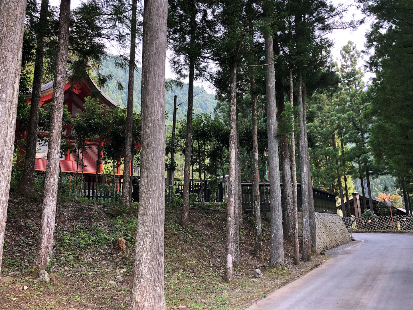 f:id:jeanrenon:20180719124640j:image