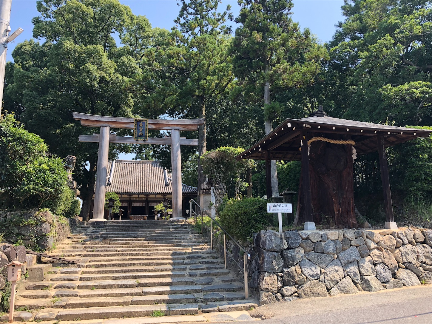 f:id:jeanrenon:20180719124652j:image