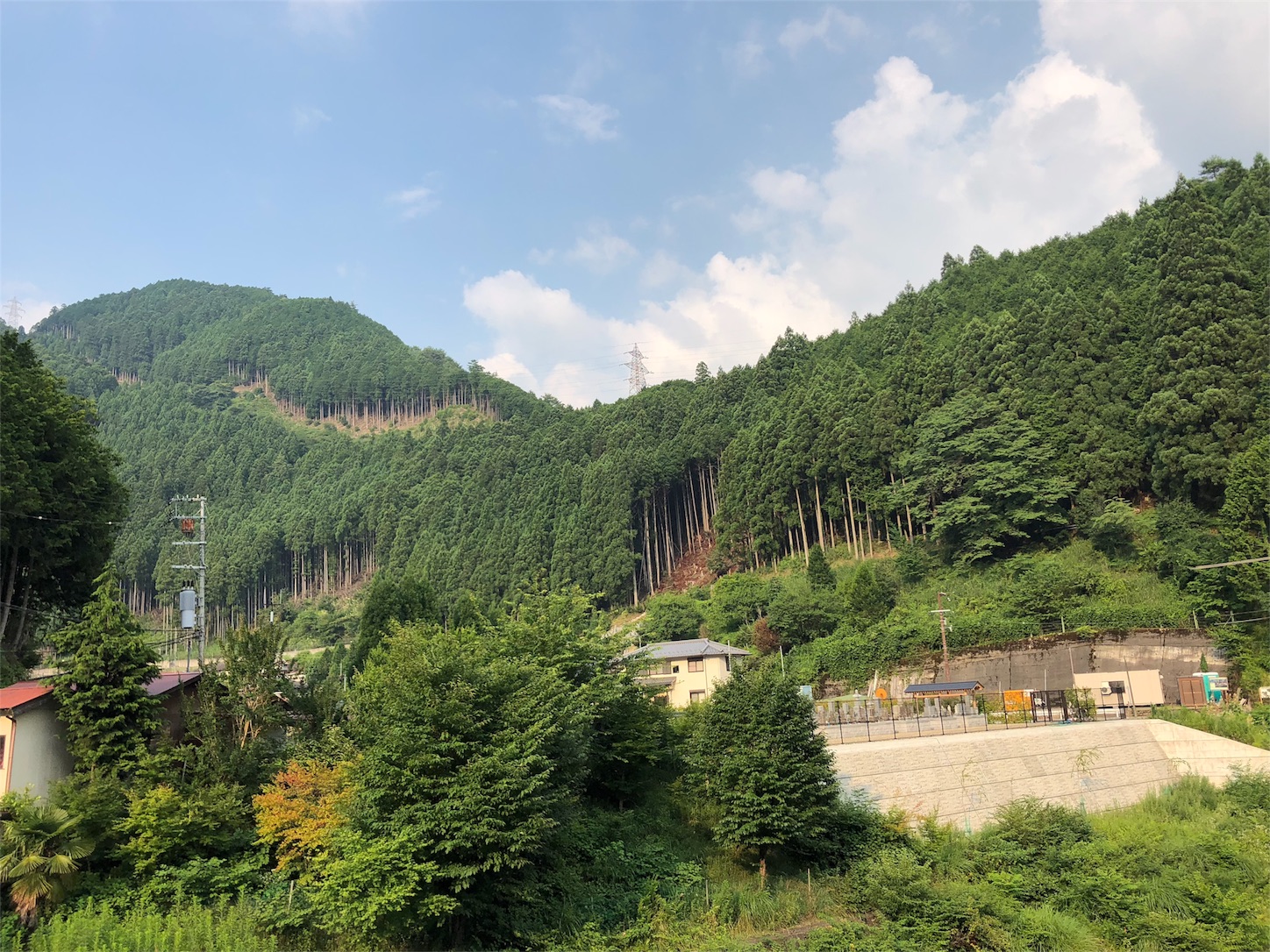 f:id:jeanrenon:20180719125327j:image