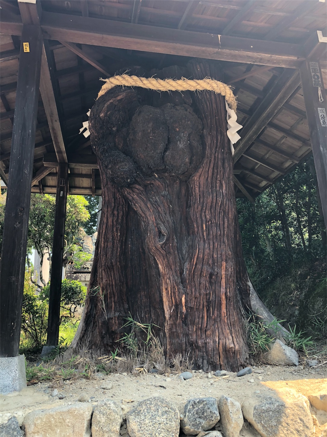 f:id:jeanrenon:20180719125833j:image