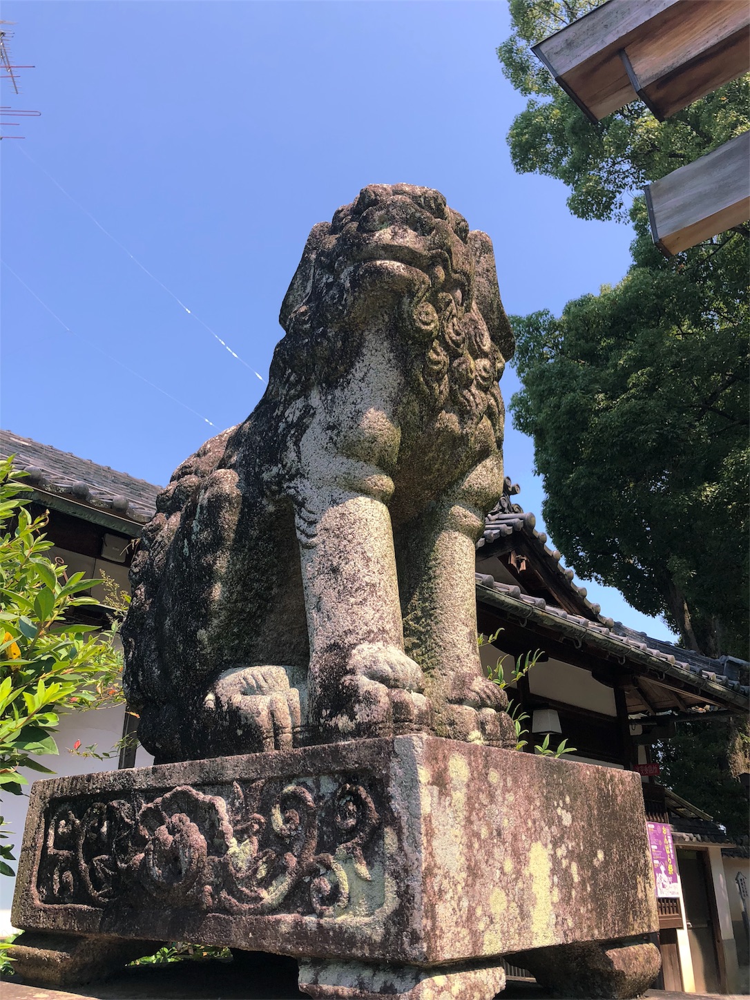 f:id:jeanrenon:20180719125857j:image
