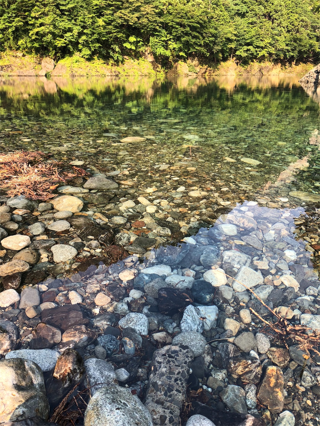 f:id:jeanrenon:20180719203114j:image f:id:jeanrenon:20180719203114j:image