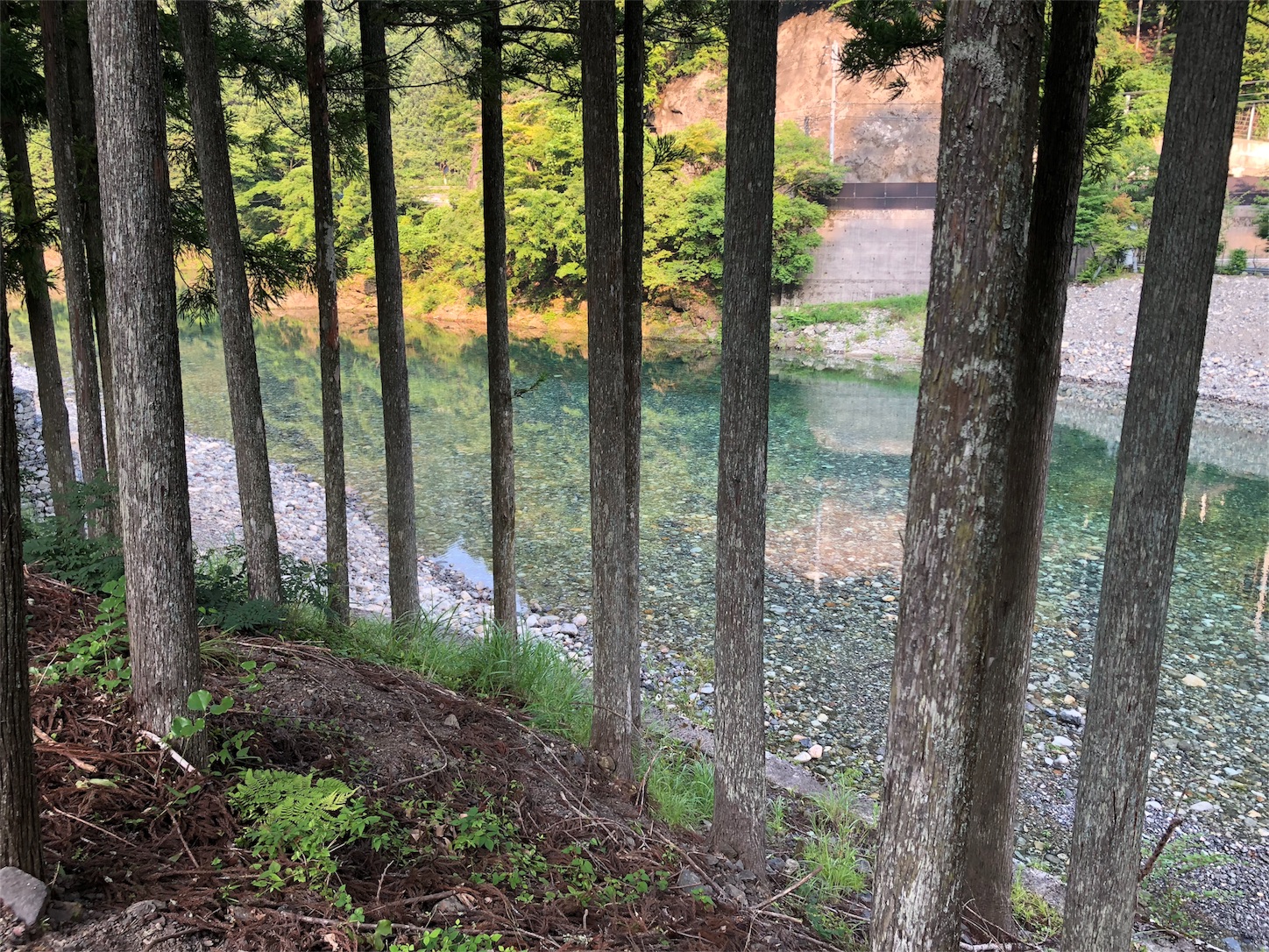 f:id:jeanrenon:20180719203120j:image f:id:jeanrenon:20180719203120j:image