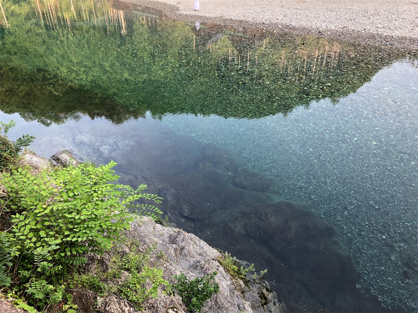 f:id:jeanrenon:20180719203226j:image f:id:jeanrenon:20180719203226j:image