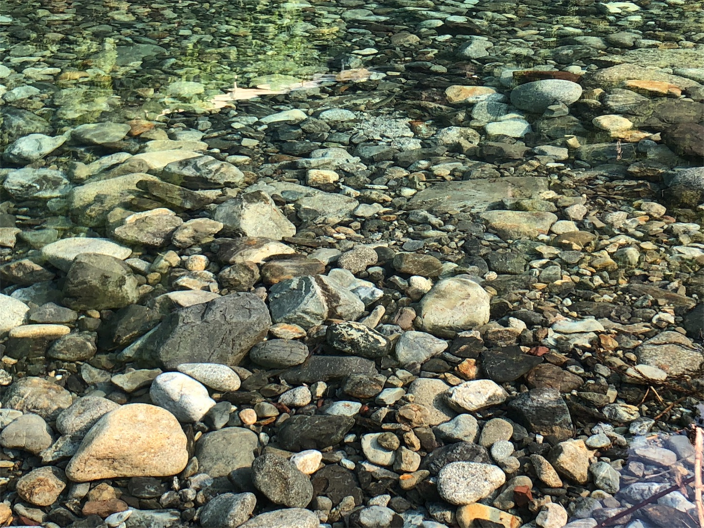f:id:jeanrenon:20180719203237j:image f:id:jeanrenon:20180719203237j:image