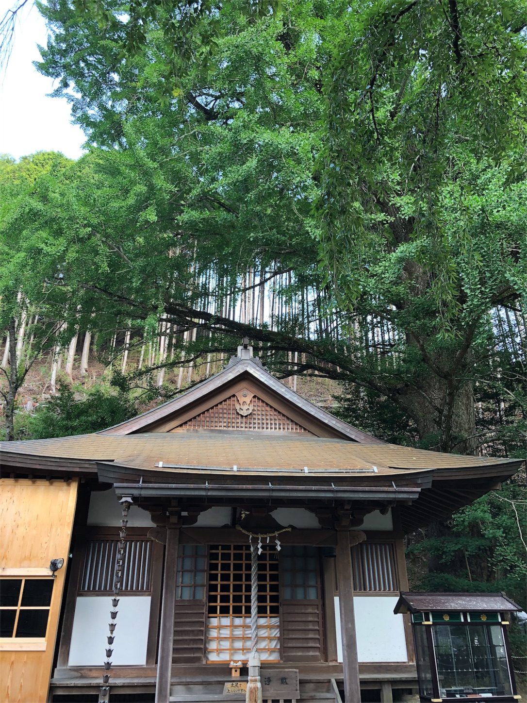 f:id:jeanrenon:20180719203242j:image f:id:jeanrenon:20180719203242j:image