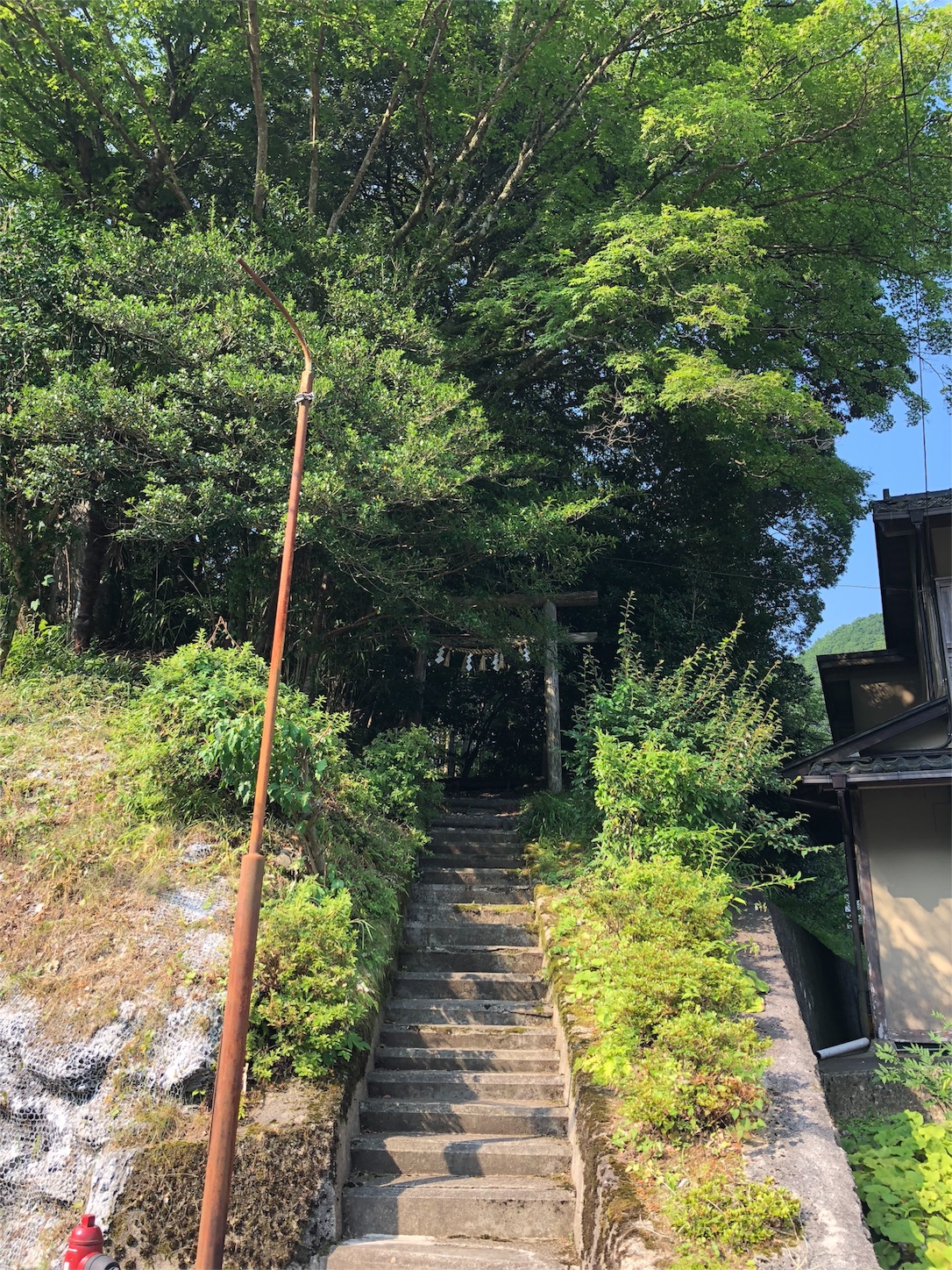 f:id:jeanrenon:20180719203249j:image f:id:jeanrenon:20180719203249j:image
