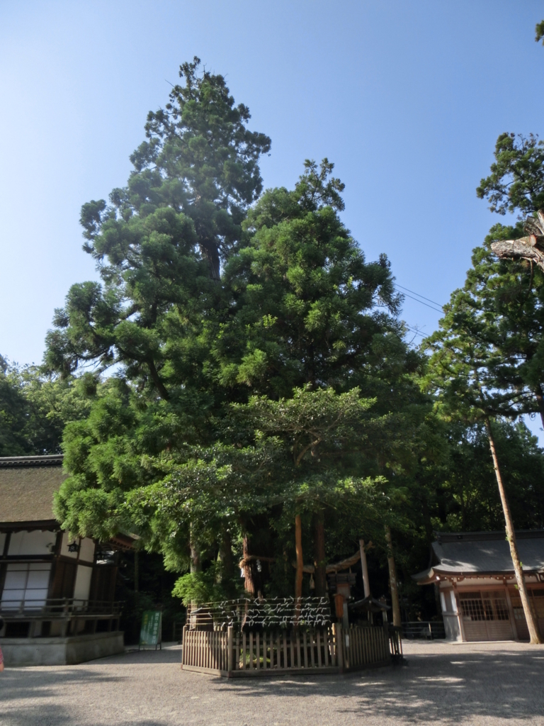 f:id:jeanrenon:20180722164941j:plain