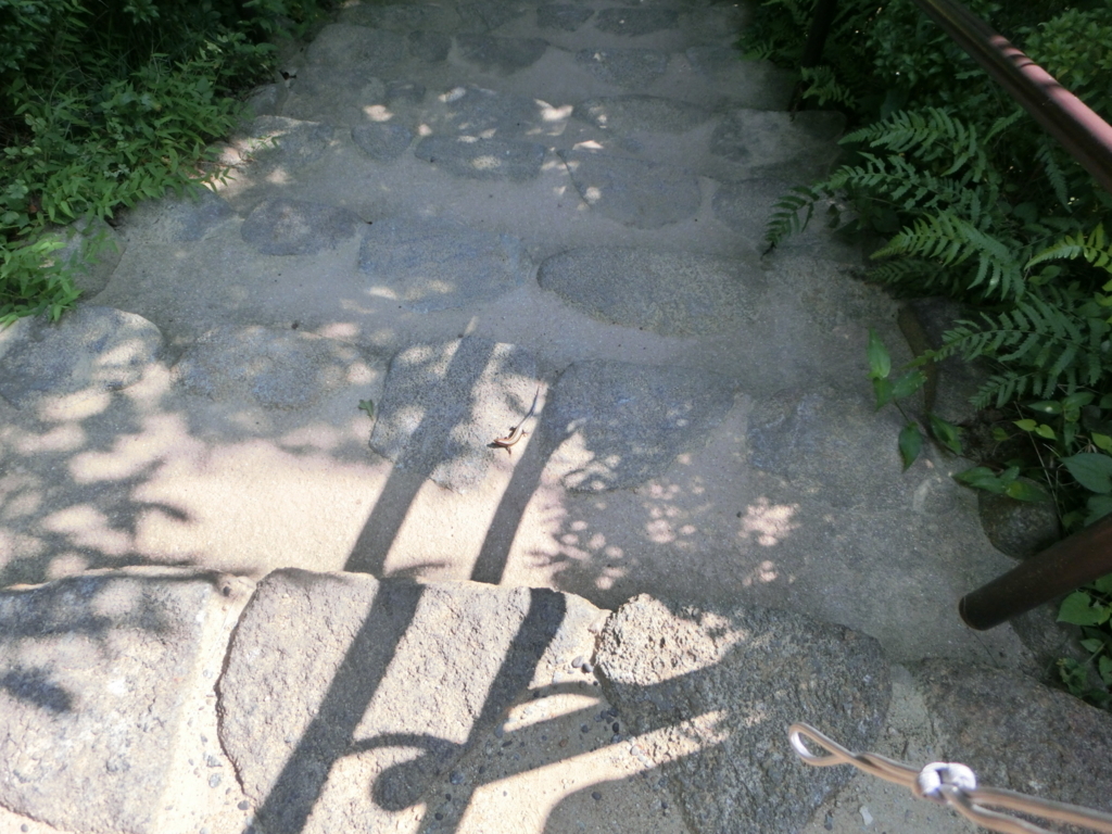 f:id:jeanrenon:20180722165313j:plain