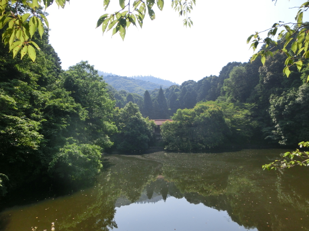 f:id:jeanrenon:20180722165930j:plain