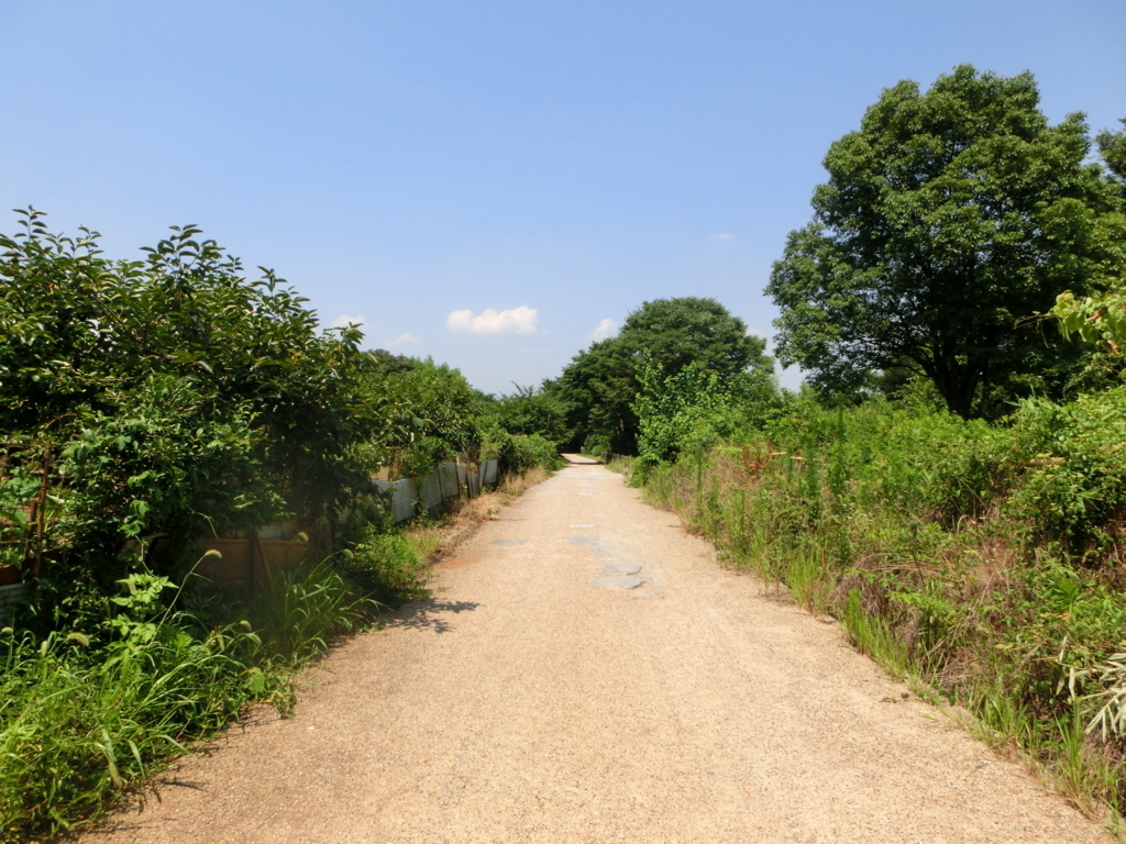 f:id:jeanrenon:20180722170432j:plain