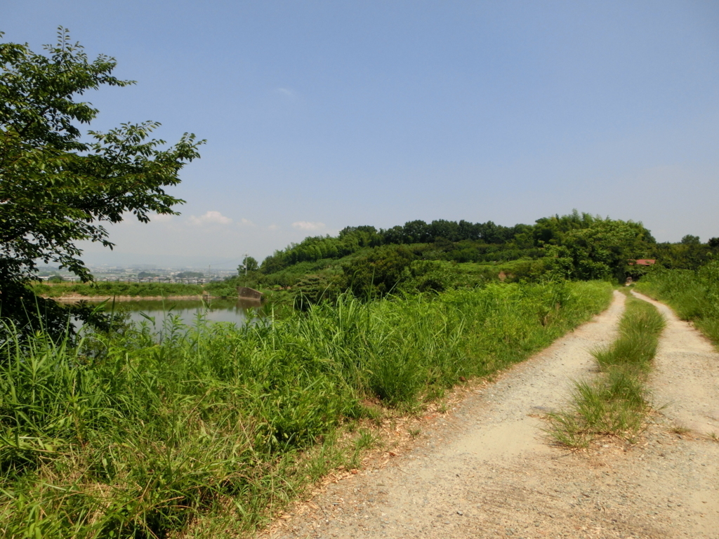 f:id:jeanrenon:20180722170449j:plain