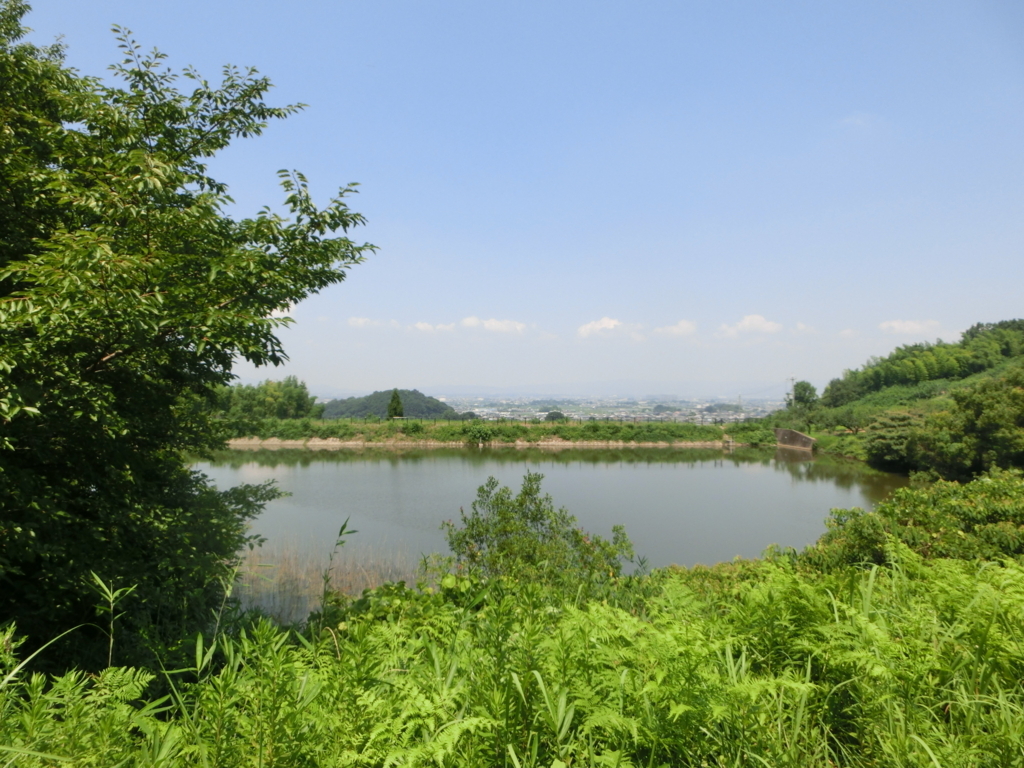 f:id:jeanrenon:20180722170516j:plain