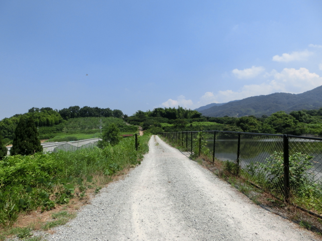 f:id:jeanrenon:20180722170541j:plain