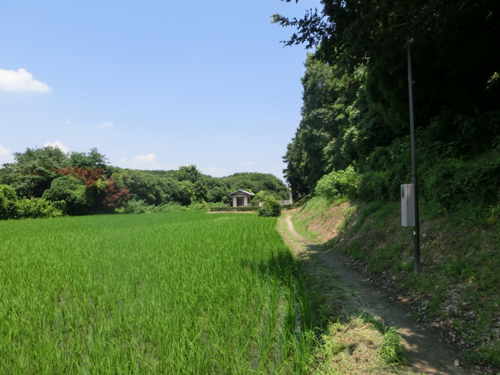 f:id:jeanrenon:20180722170659j:plain