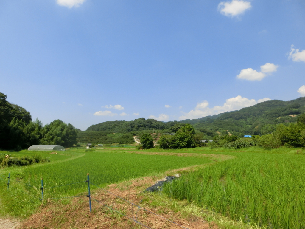 f:id:jeanrenon:20180722170838j:plain