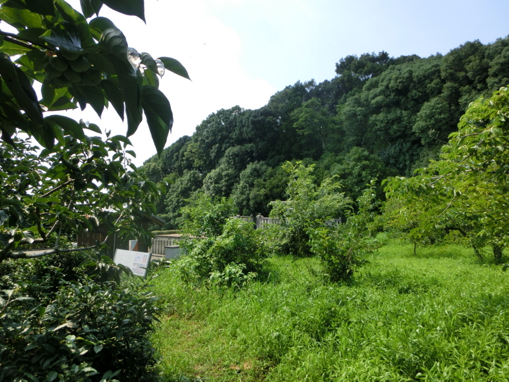 f:id:jeanrenon:20180722170936j:plain
