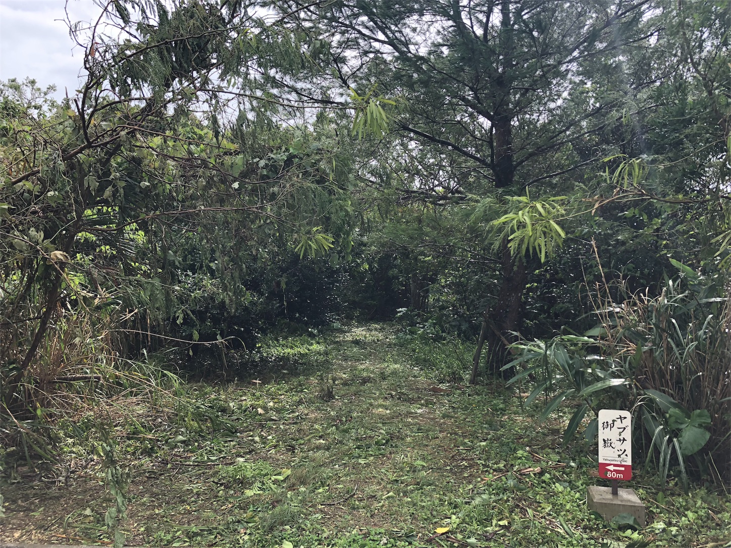 f:id:jeanrenon:20180930171939j:image