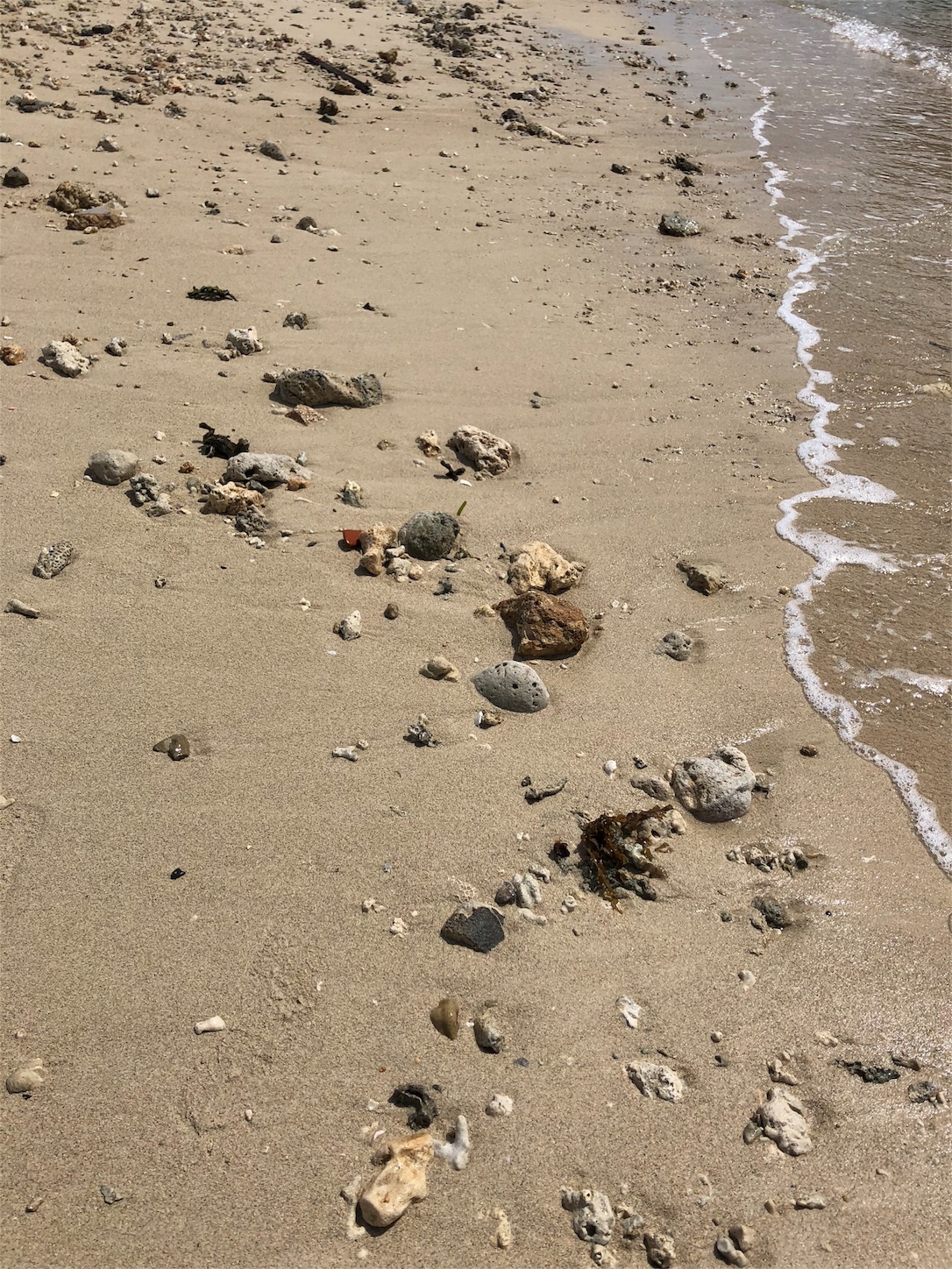 f:id:jeanrenon:20180930172216j:image