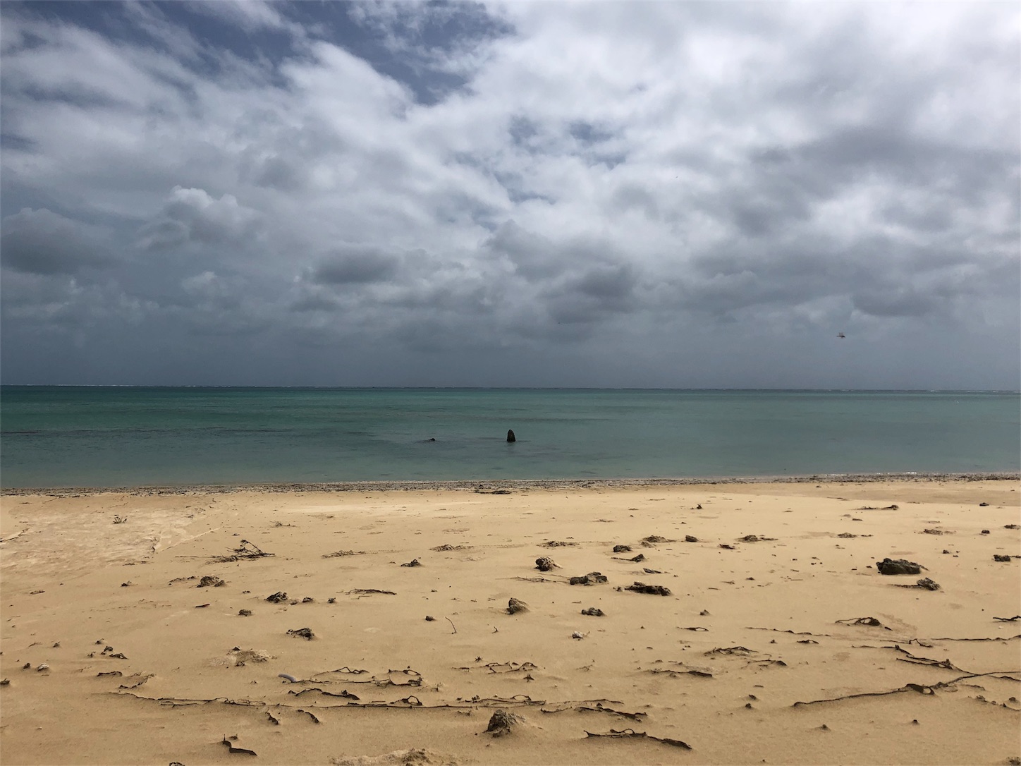 f:id:jeanrenon:20181002210059j:image