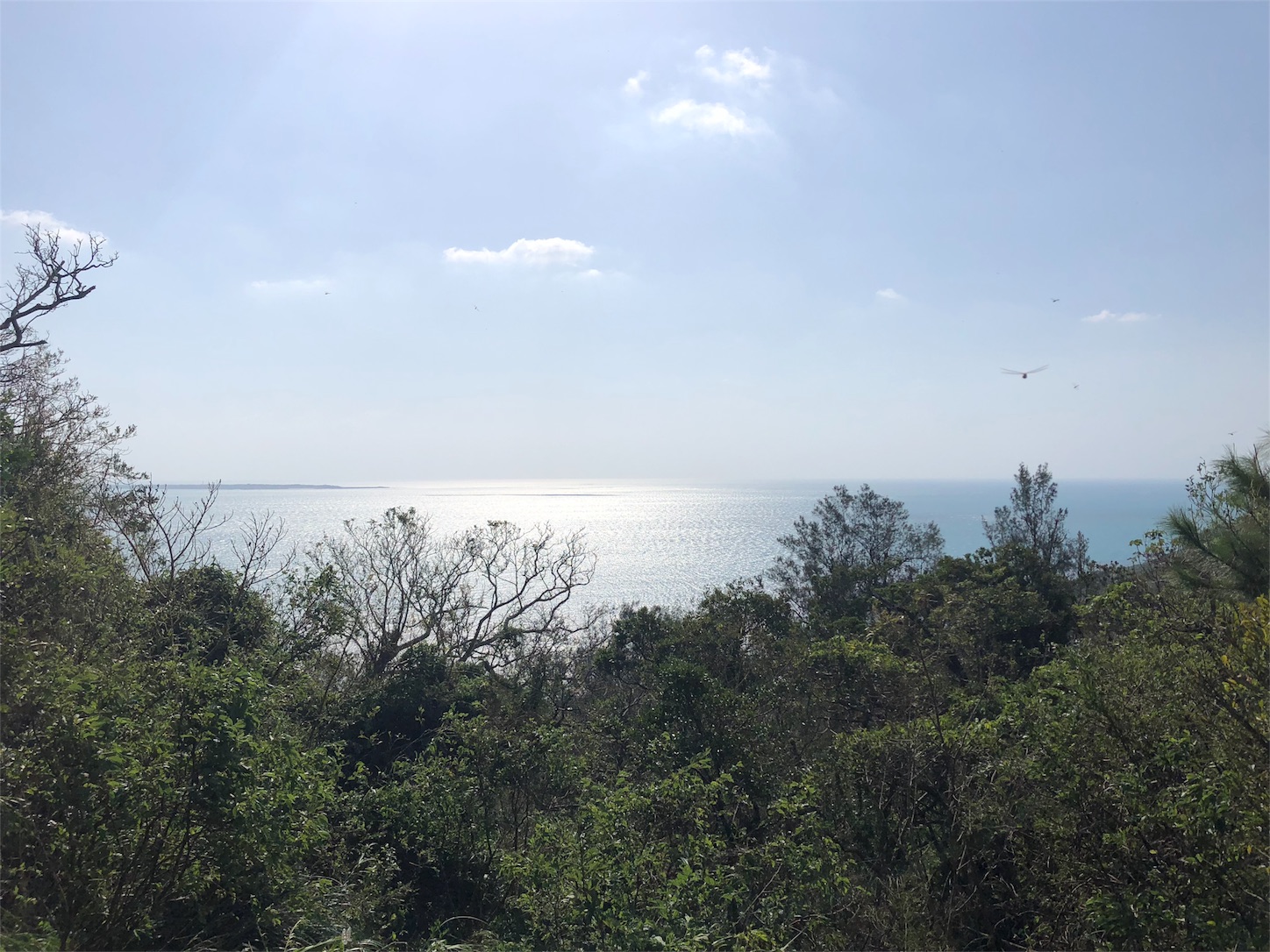 f:id:jeanrenon:20181002211043j:image
