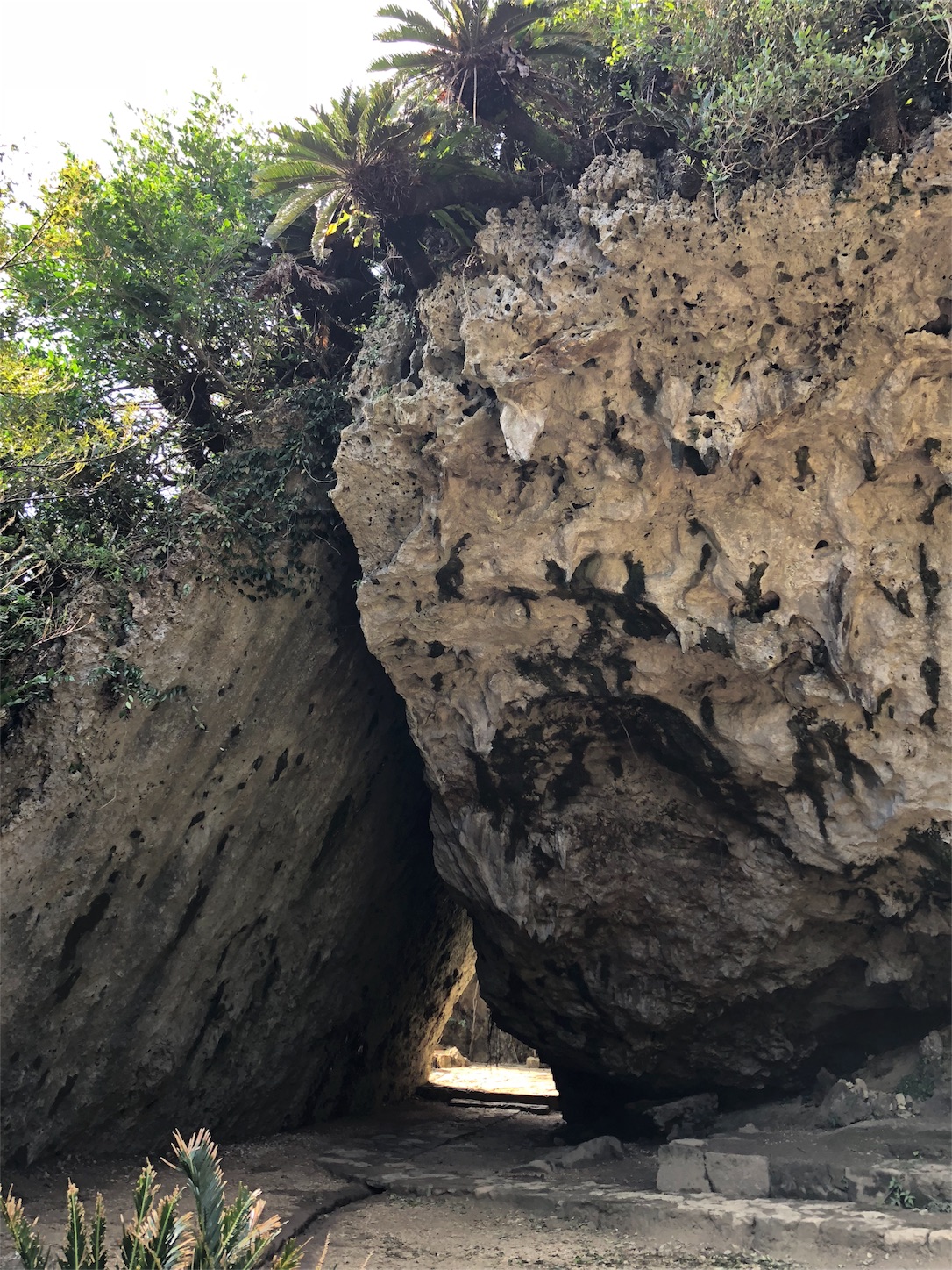 f:id:jeanrenon:20181002211047j:image