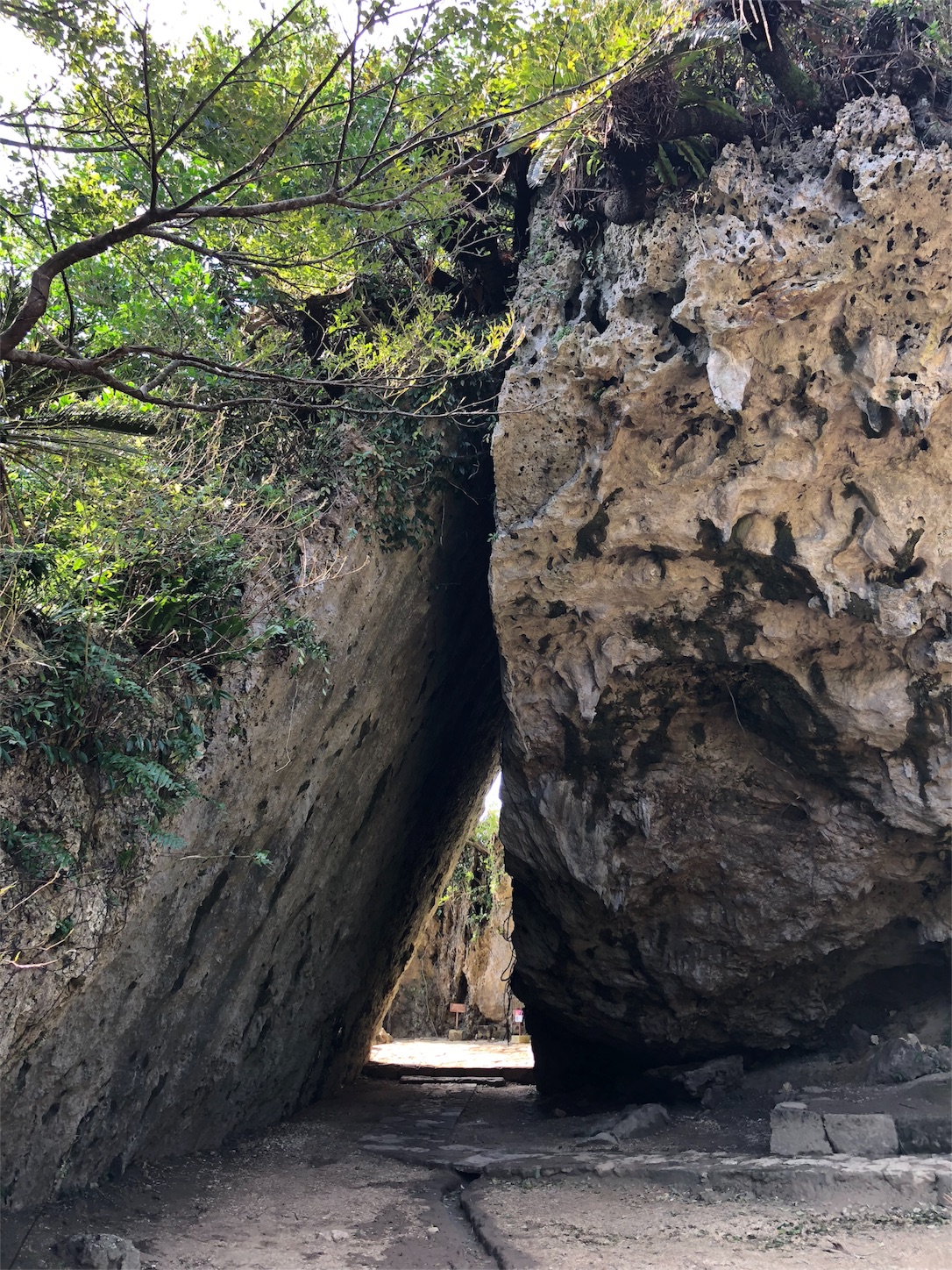 f:id:jeanrenon:20181002211050j:image