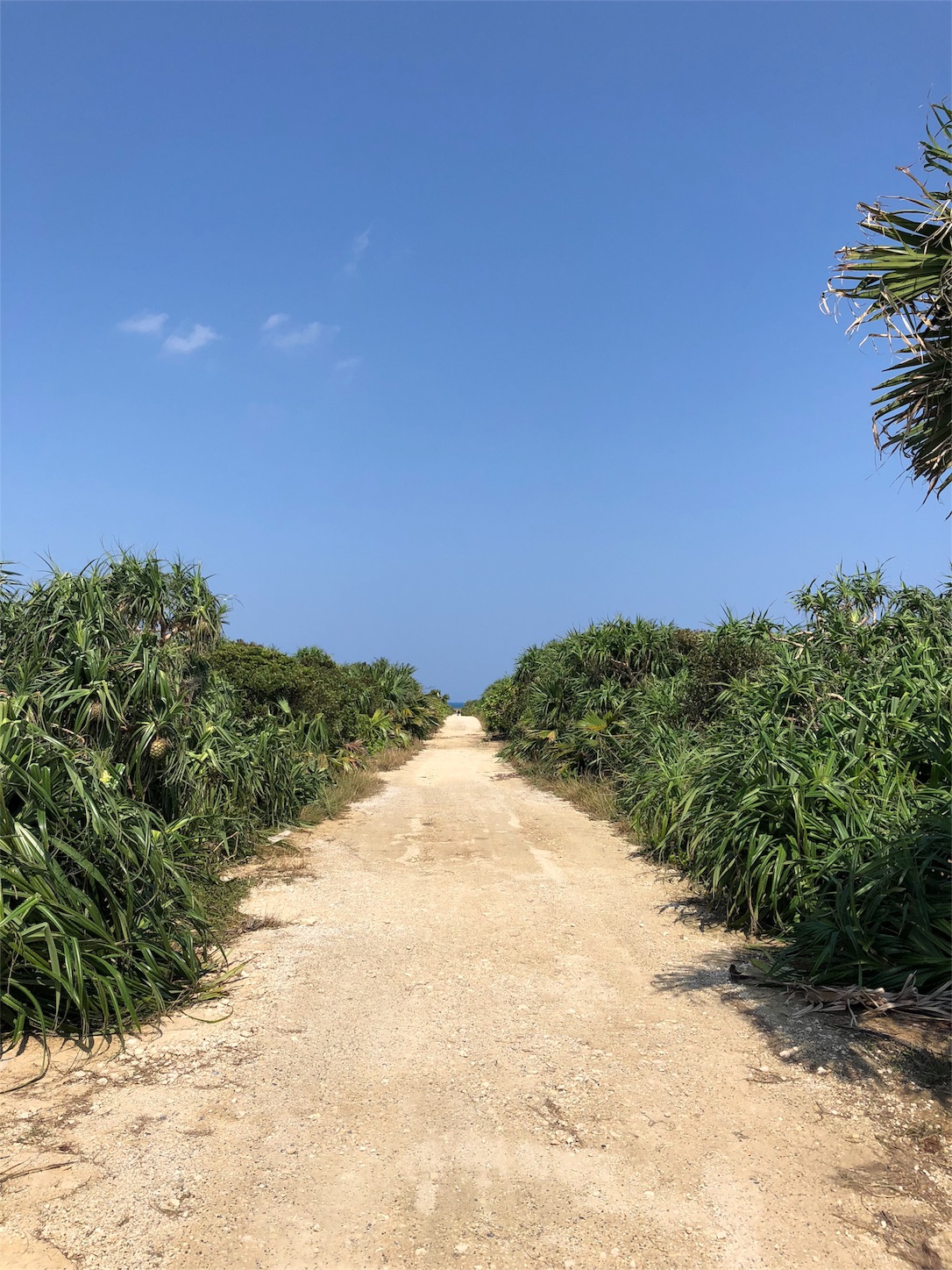 f:id:jeanrenon:20181002212100j:image