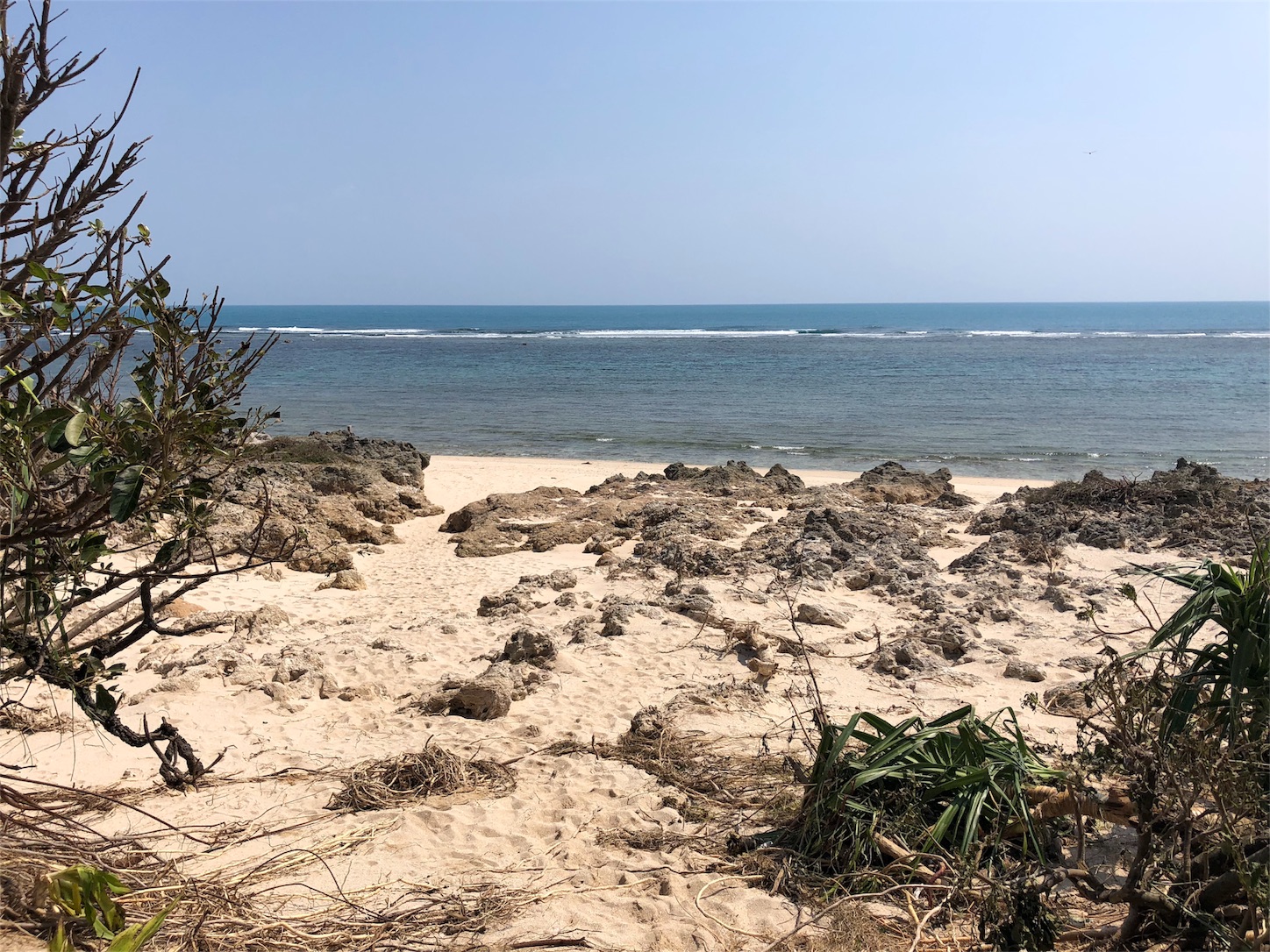 f:id:jeanrenon:20181002212107j:image