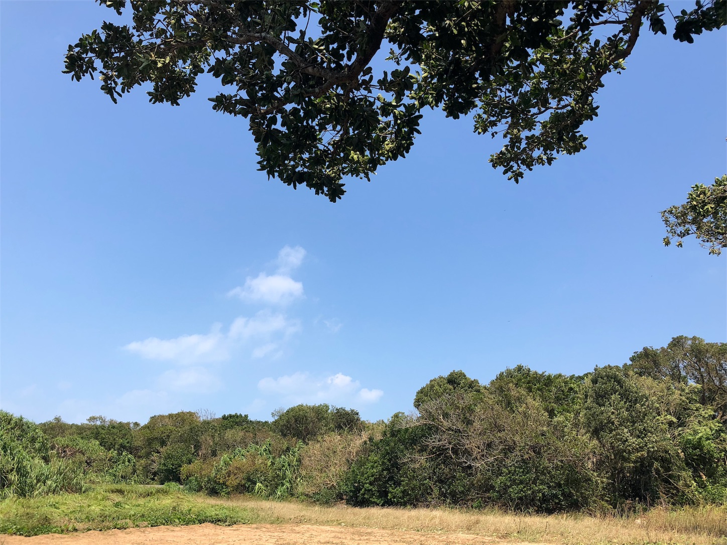 f:id:jeanrenon:20181002212117j:image