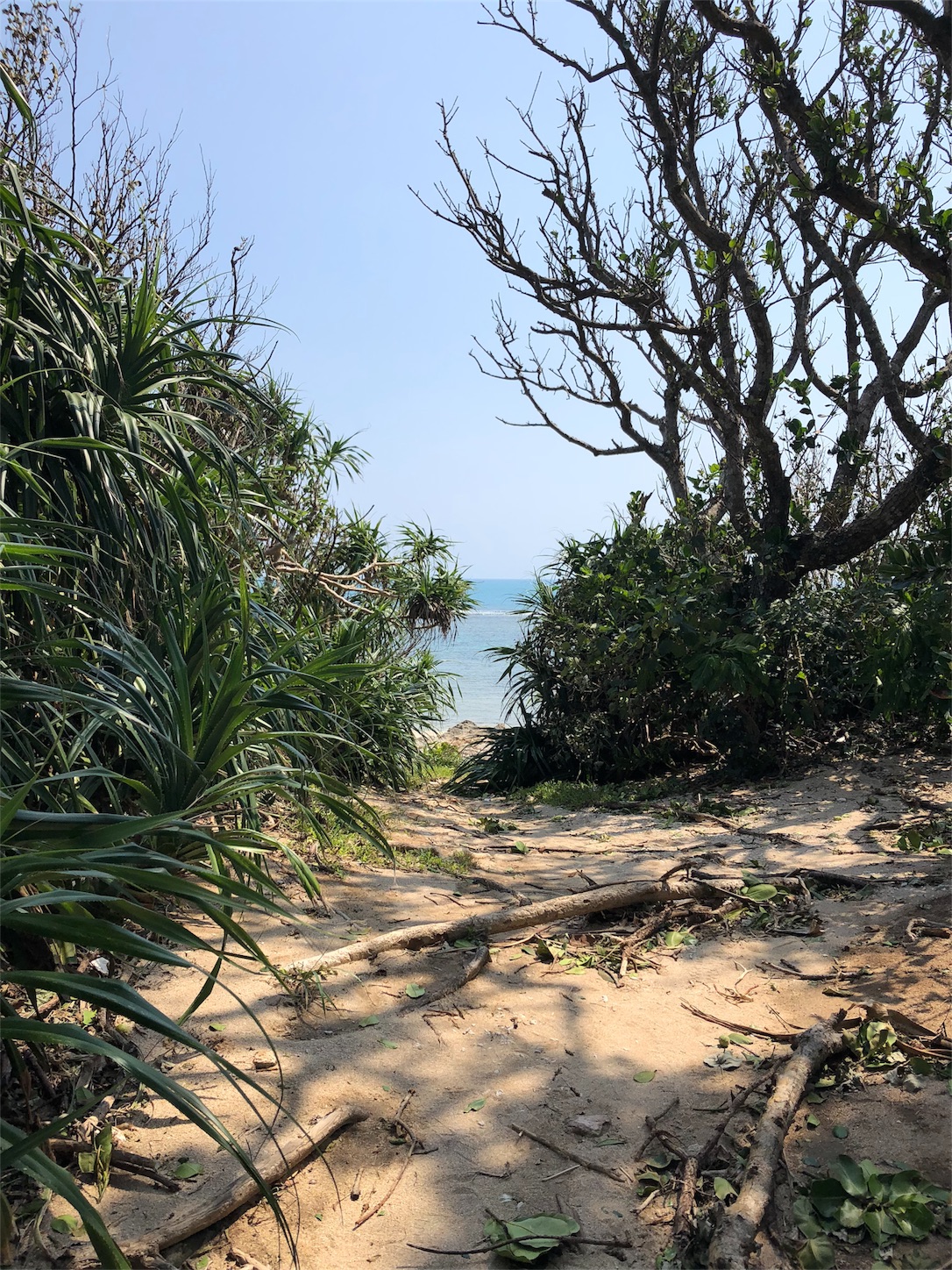 f:id:jeanrenon:20181002212421j:image