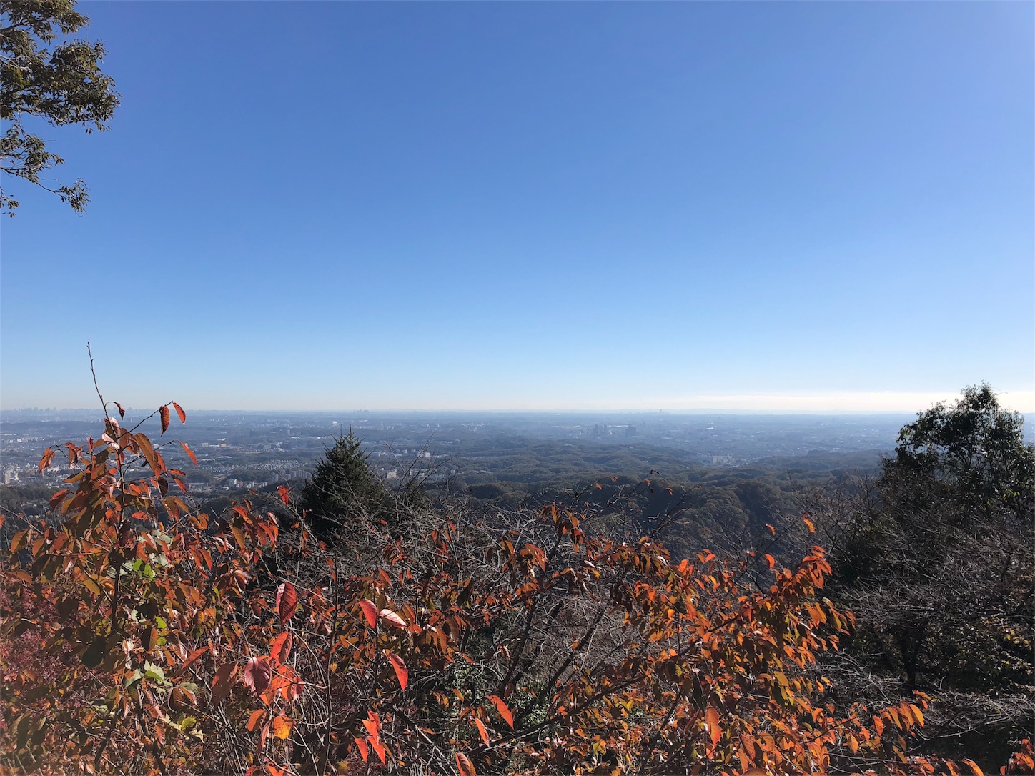 f:id:jeanrenon:20181130144609j:image