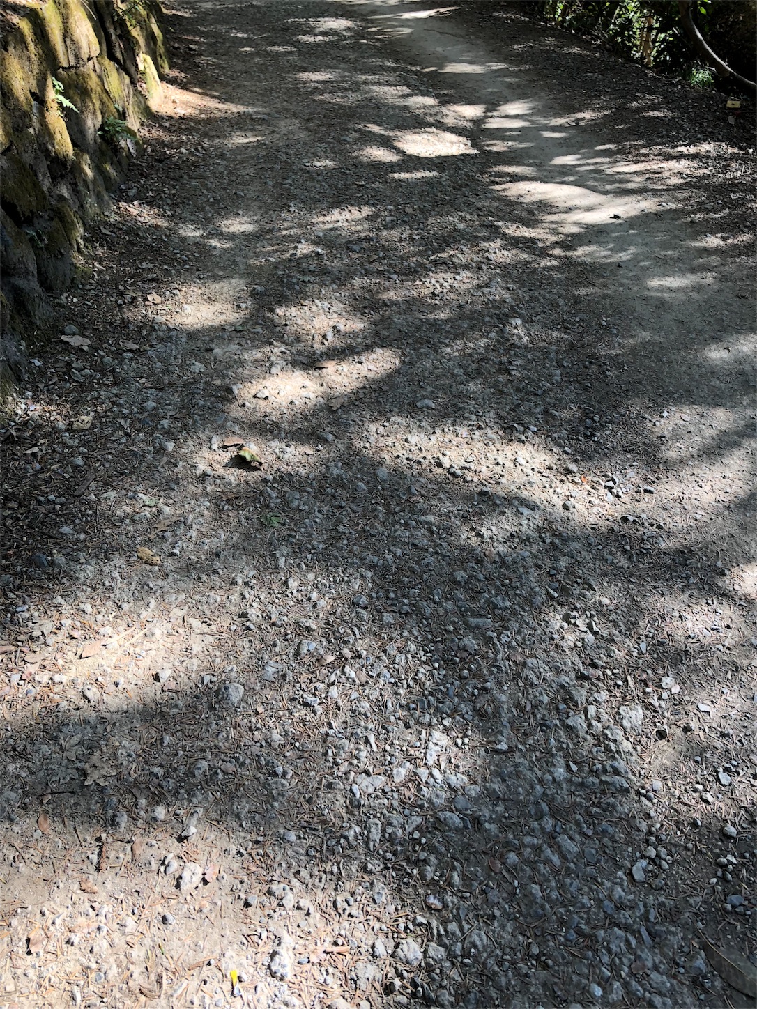 f:id:jeanrenon:20181130150250j:image