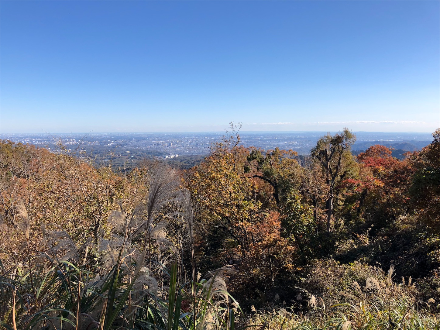 f:id:jeanrenon:20181130150323j:image