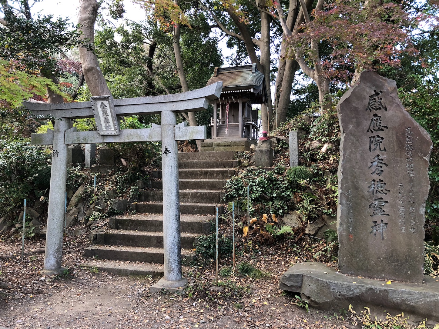 f:id:jeanrenon:20181130150622j:image