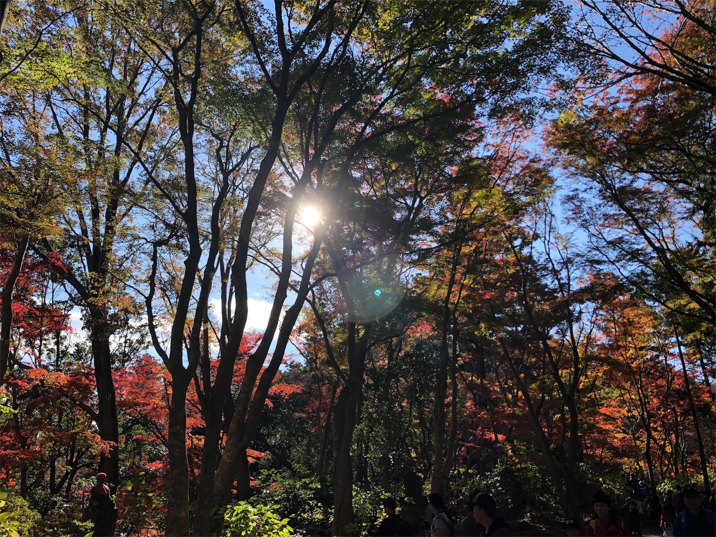 f:id:jeanrenon:20181130150630j:image
