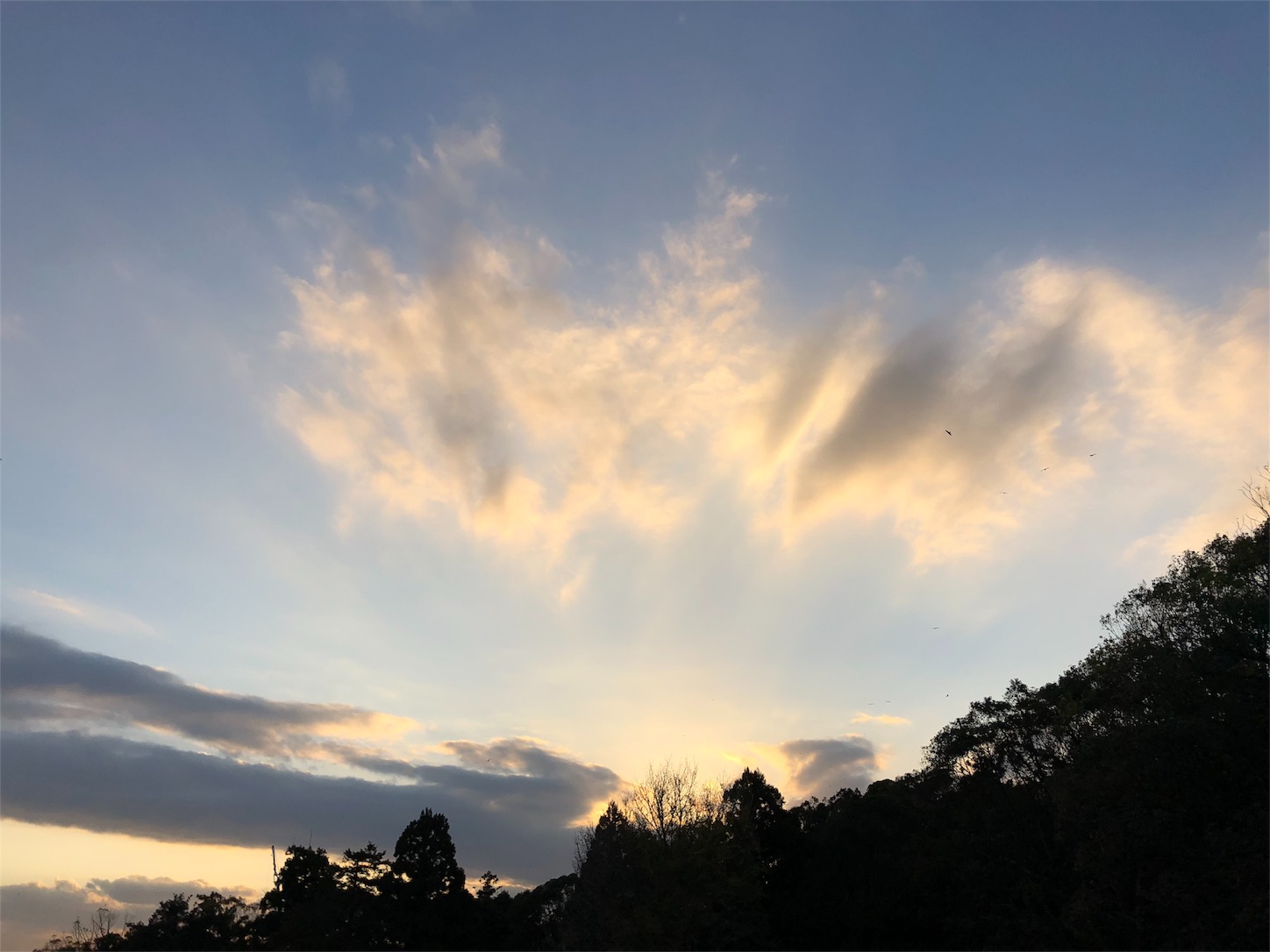 f:id:jeanrenon:20181130174354j:image f:id:jeanrenon:20181130174354j:image
