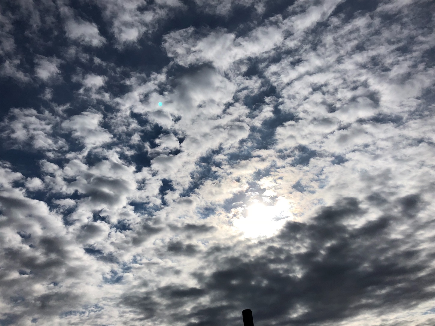 f:id:jeanrenon:20181212162717j:image