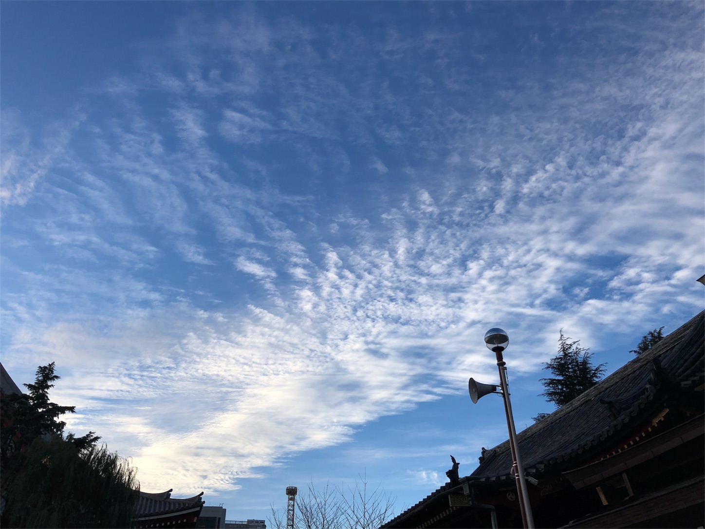 f:id:jeanrenon:20181212162726j:image