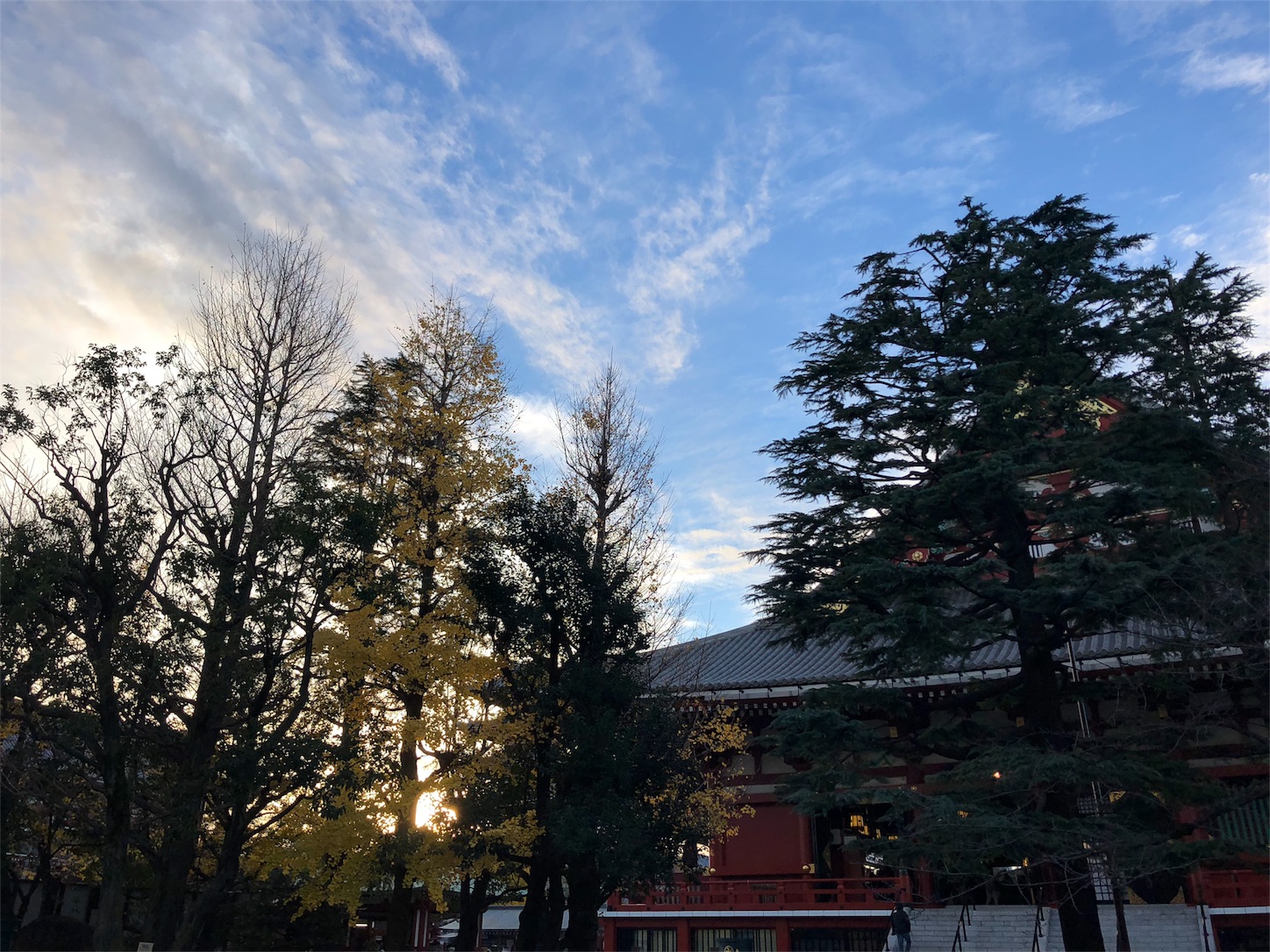 f:id:jeanrenon:20181212162739j:image