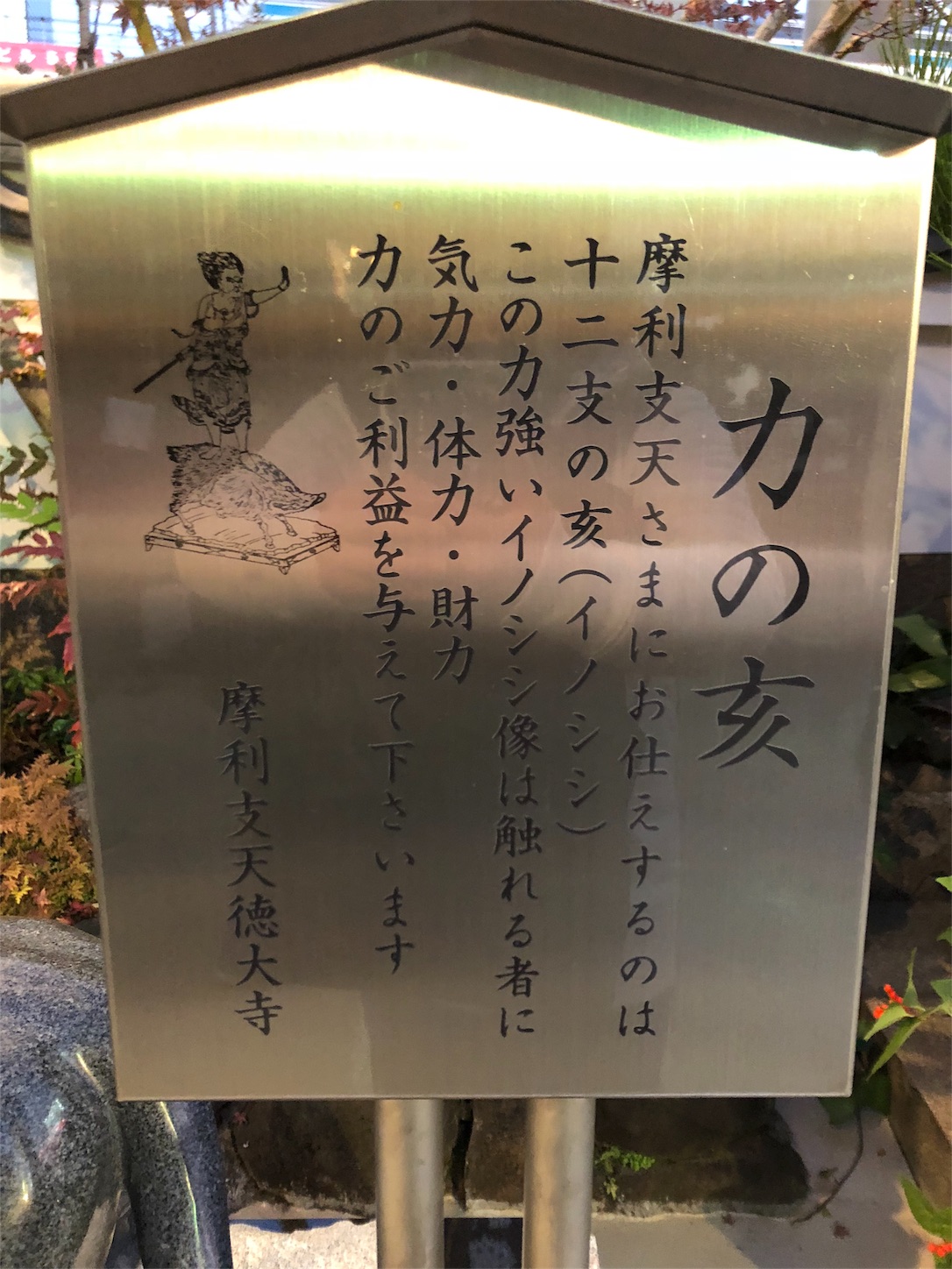 f:id:jeanrenon:20190113235607j:image