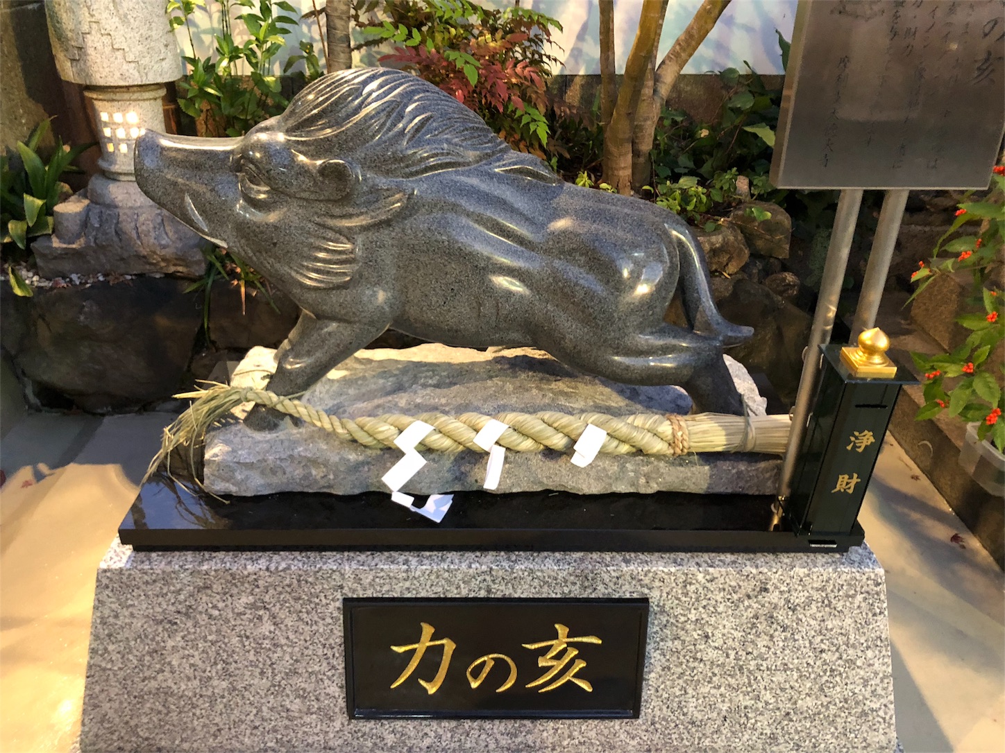 f:id:jeanrenon:20190113235615j:image