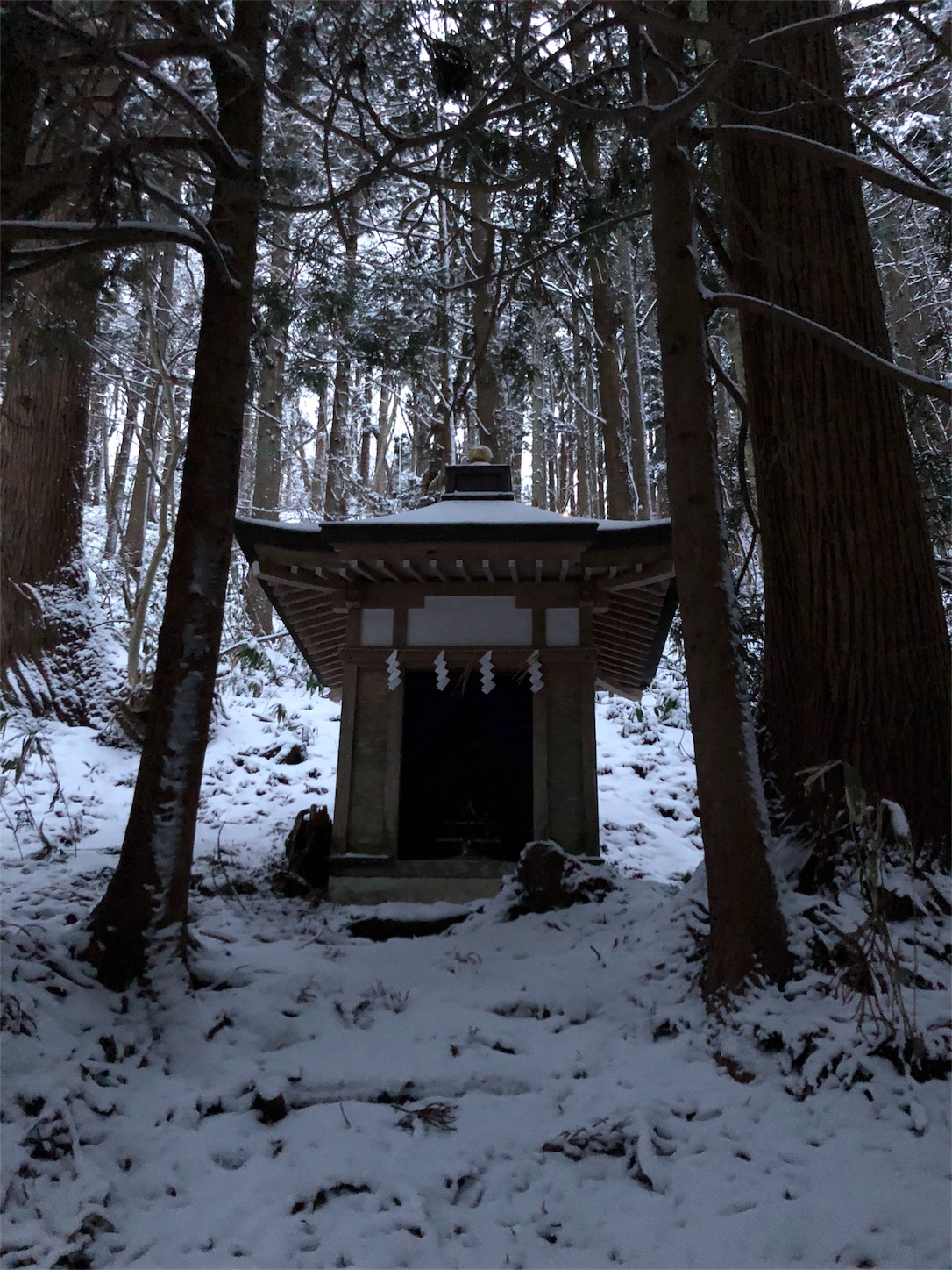 f:id:jeanrenon:20190211180911j:image