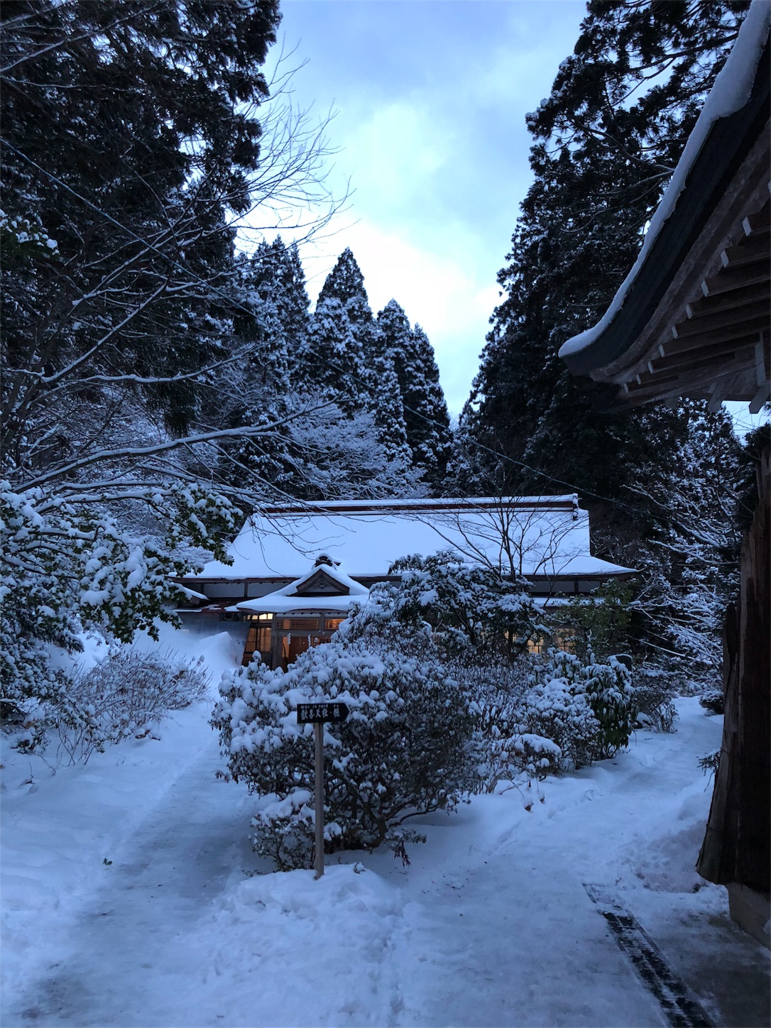 f:id:jeanrenon:20190211180921j:image