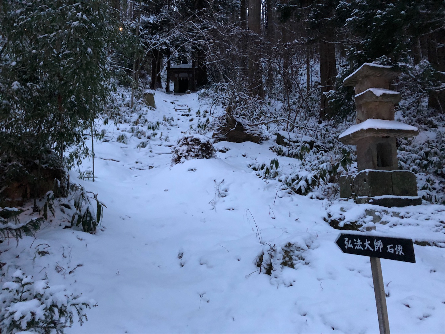 f:id:jeanrenon:20190211180925j:image