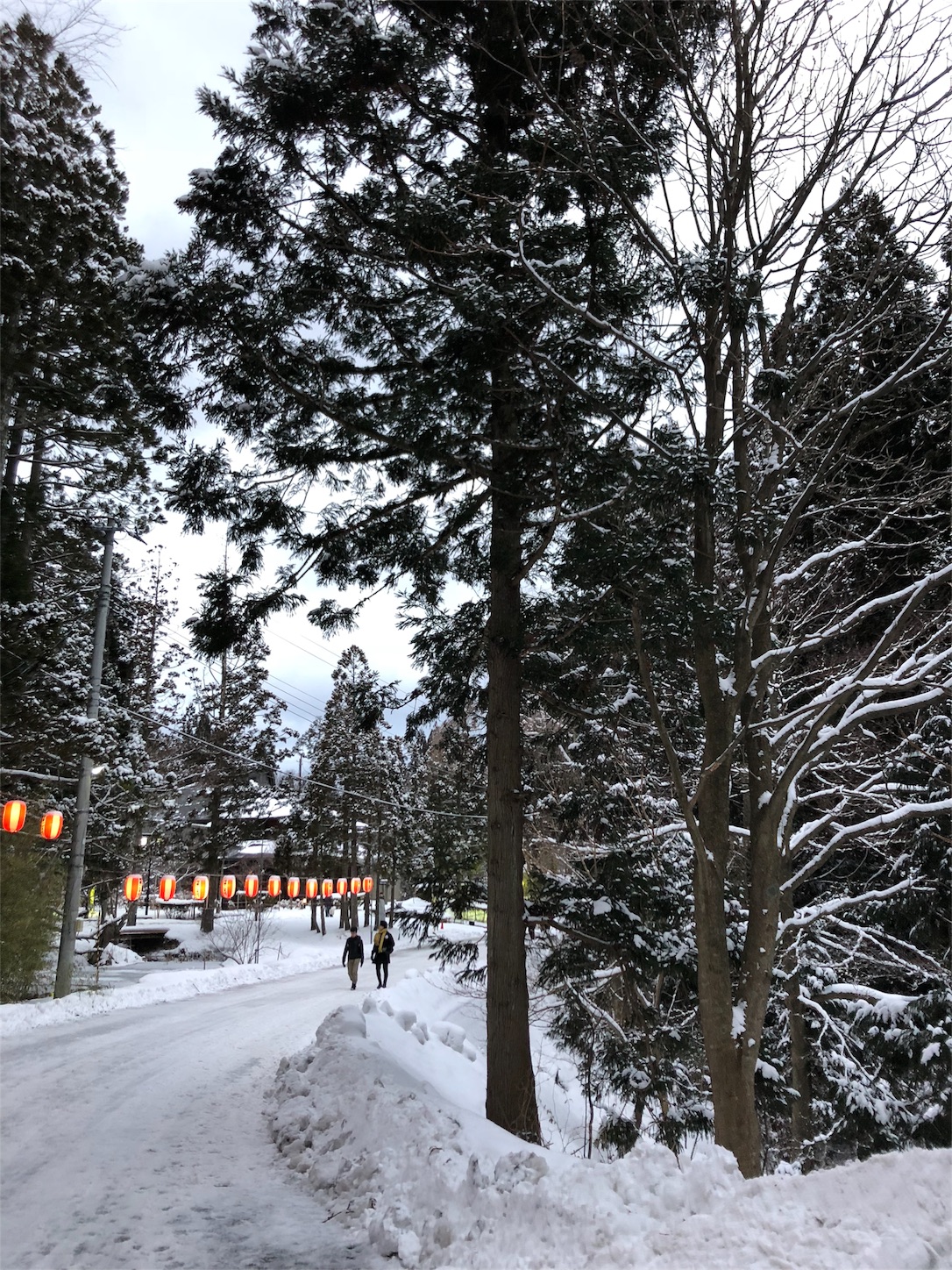 f:id:jeanrenon:20190211180947j:image